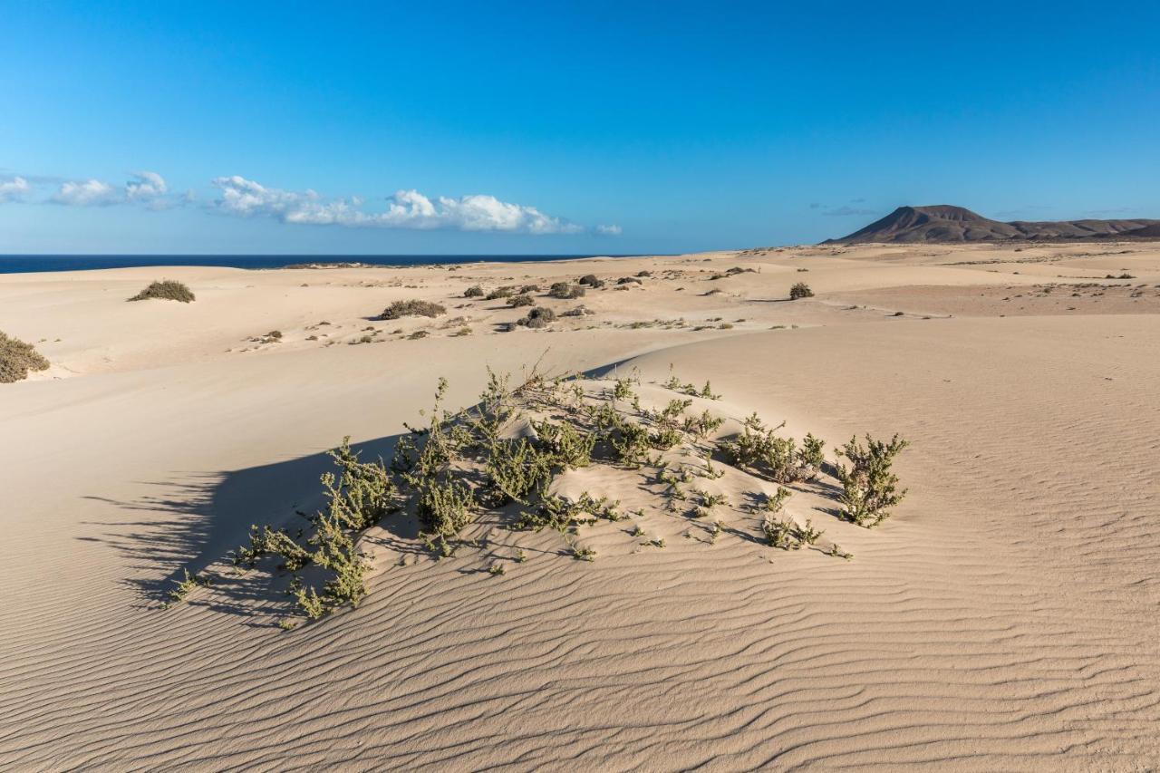 Home2Book Charming Sun & Dunes Apartment Corralejo Buitenkant foto